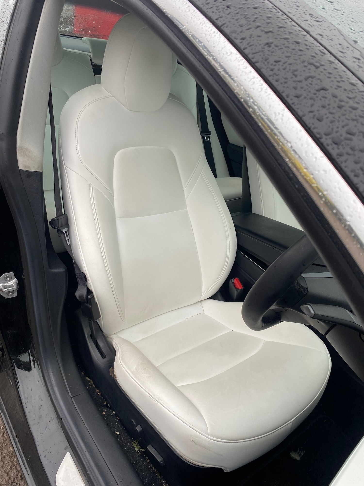 Used Tesla Model 3 2019 for sale - 77352246: Photo 17