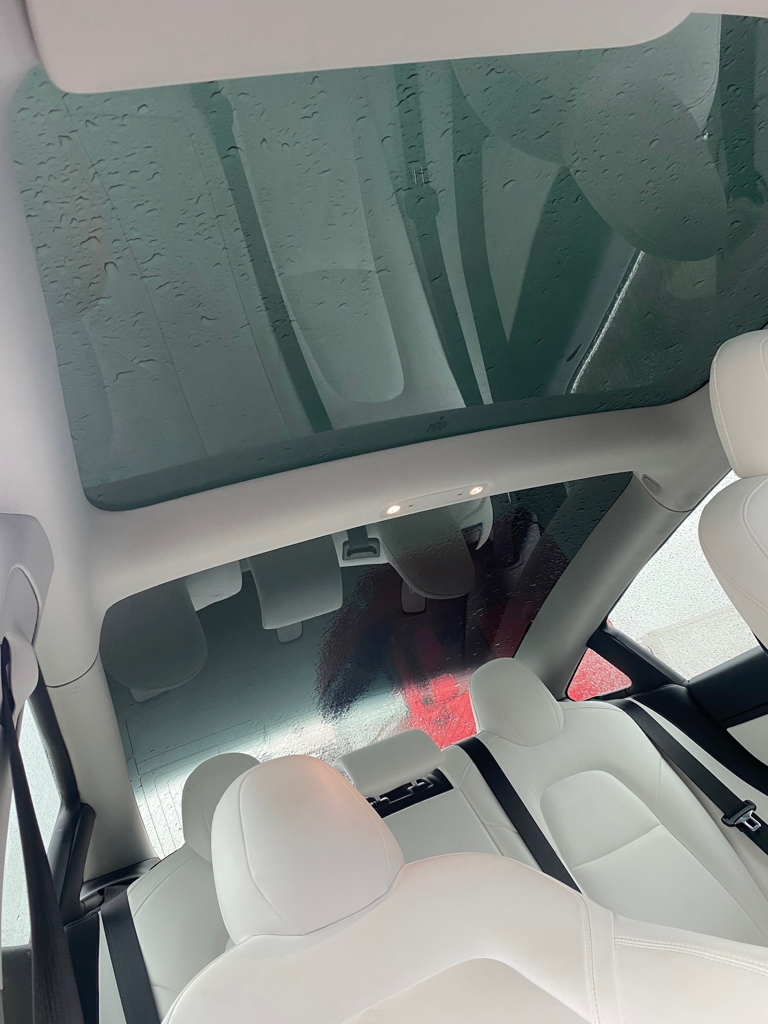 Used Tesla Model 3 2019 for sale - 77352246: Photo 20