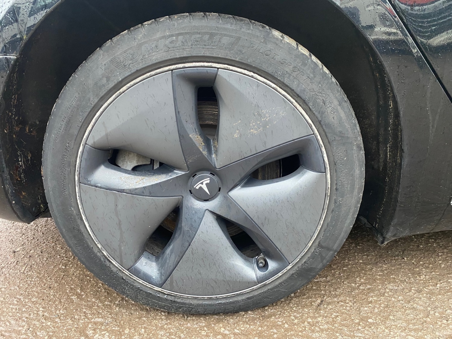 Used Tesla Model 3 2019 for sale - 77352246: Photo 21