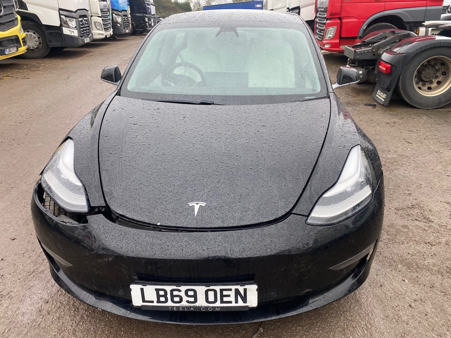 Used Tesla Model 3 2019 for sale - 77352246: Photo 3