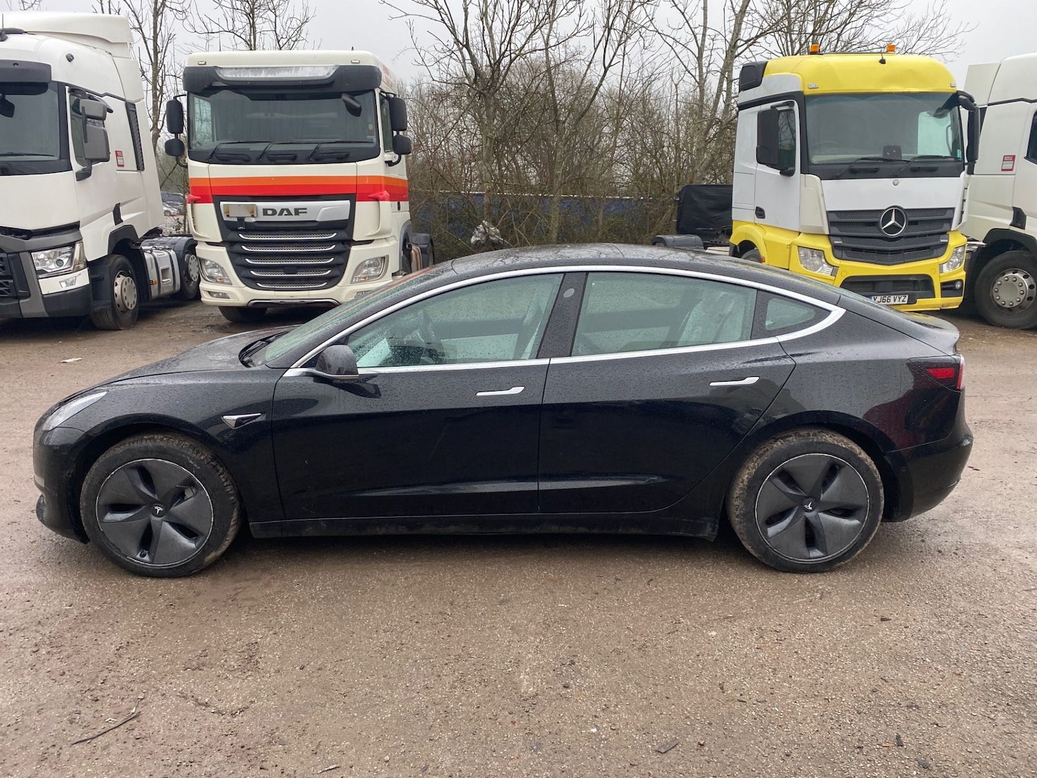 Used Tesla Model 3 2019 for sale - 77352246: Photo 6