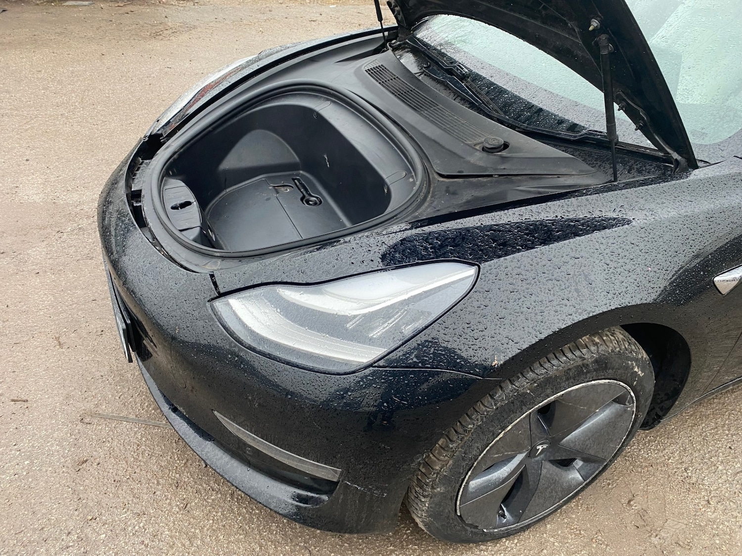 Used Tesla Model 3 2019 for sale - 77352246: Photo 9