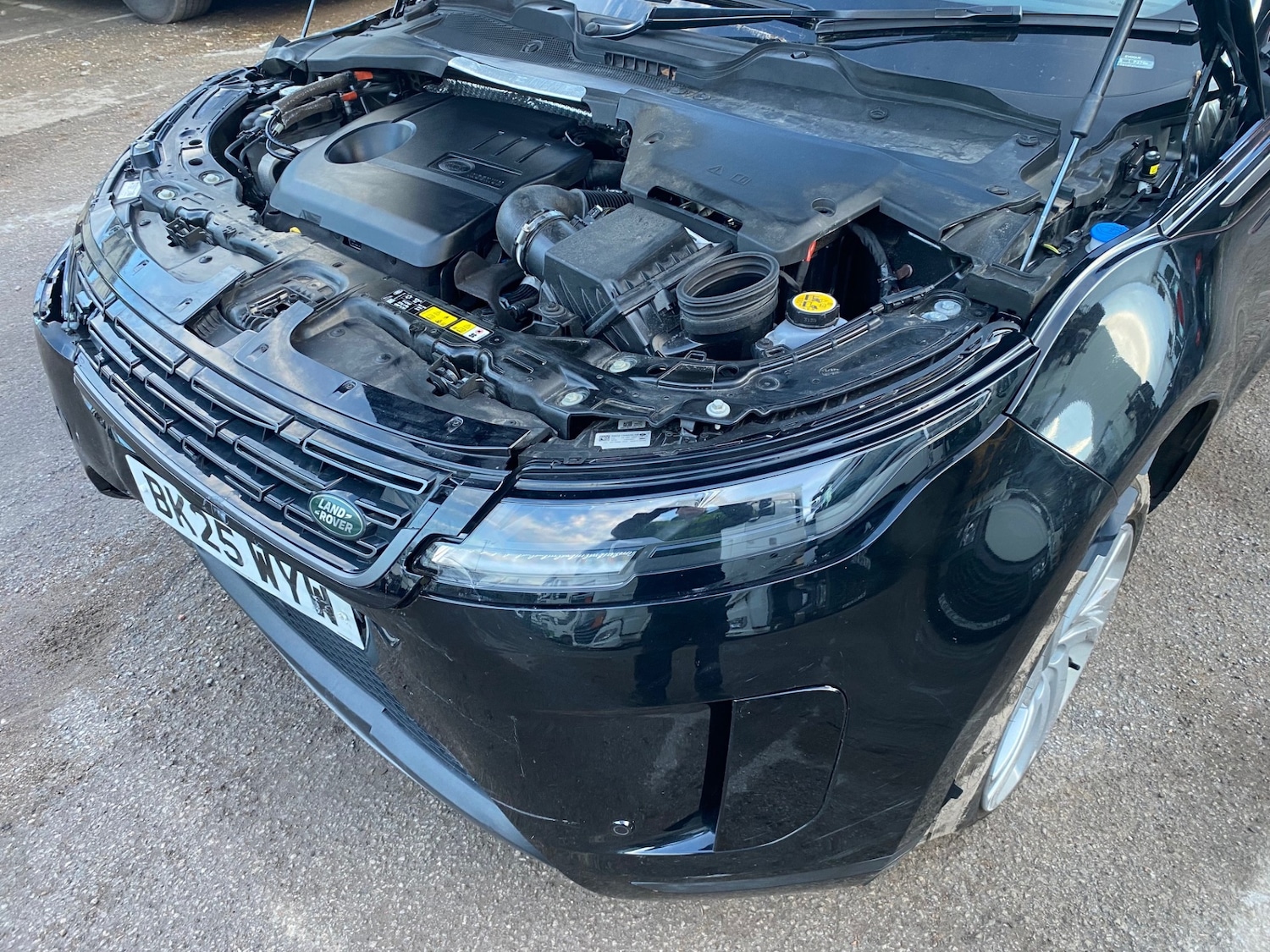 Used Land Rover Range Rover Evoque 2025 for sale - 77311129: Photo 10