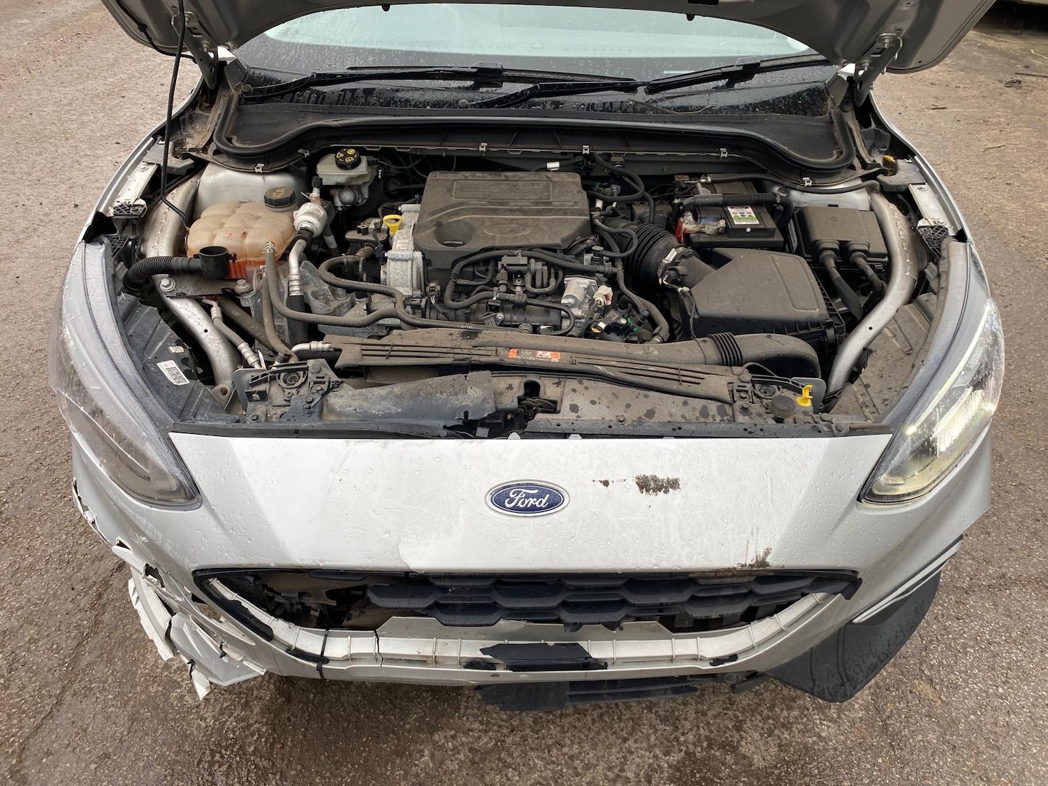 Used Ford Focus 2020 for sale - 73386675: Photo 17