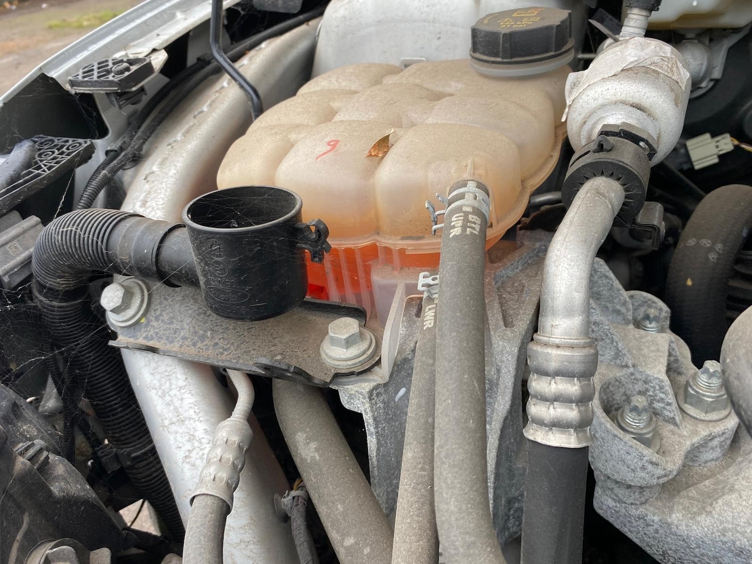 Used Ford Focus 2020 for sale - 73386675: Photo 20