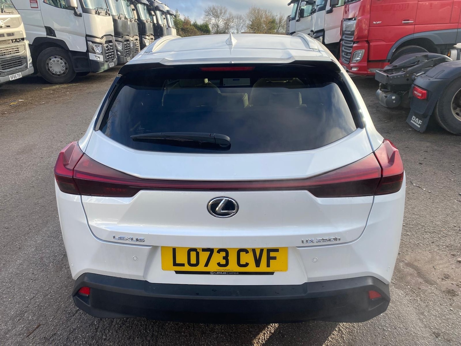 Used Lexus UX 2023 for sale - 77196668: Photo 6