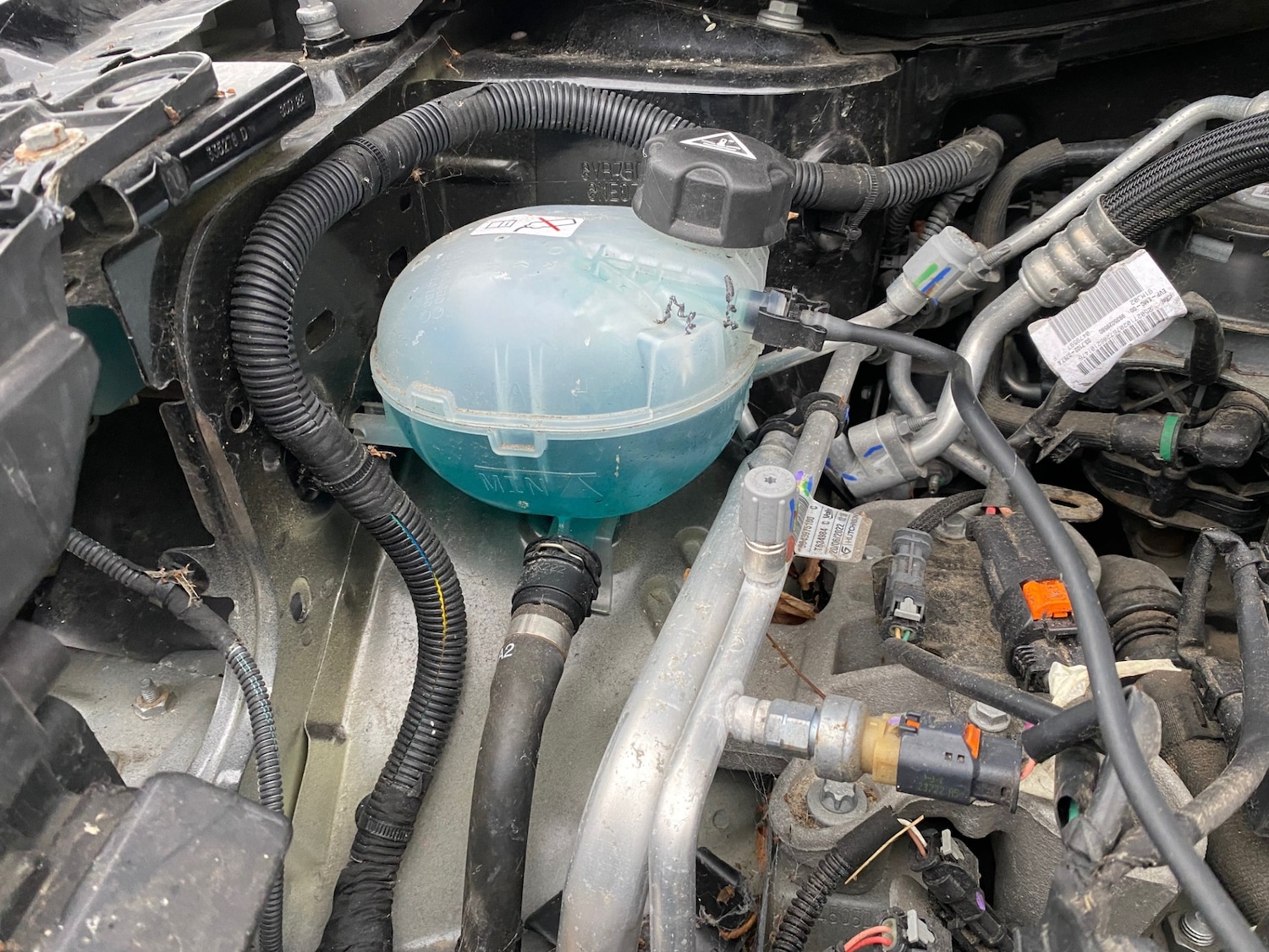 Used Citroen C4 2023 for sale - 77353991: Photo 22