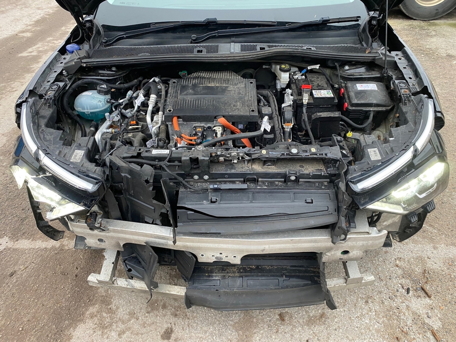 Used Citroen C4 2023 for sale - 77353991: Photo 9