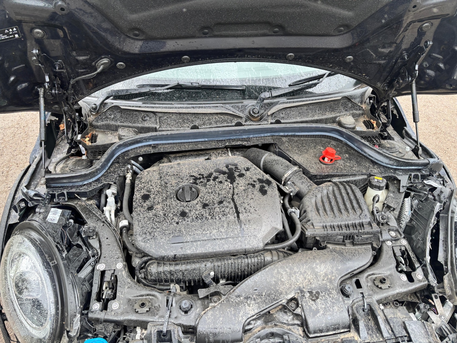 Vehicle 13