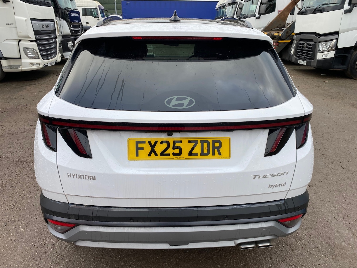 Used Hyundai TUCSON 2025 for sale - 77353978: Photo 6