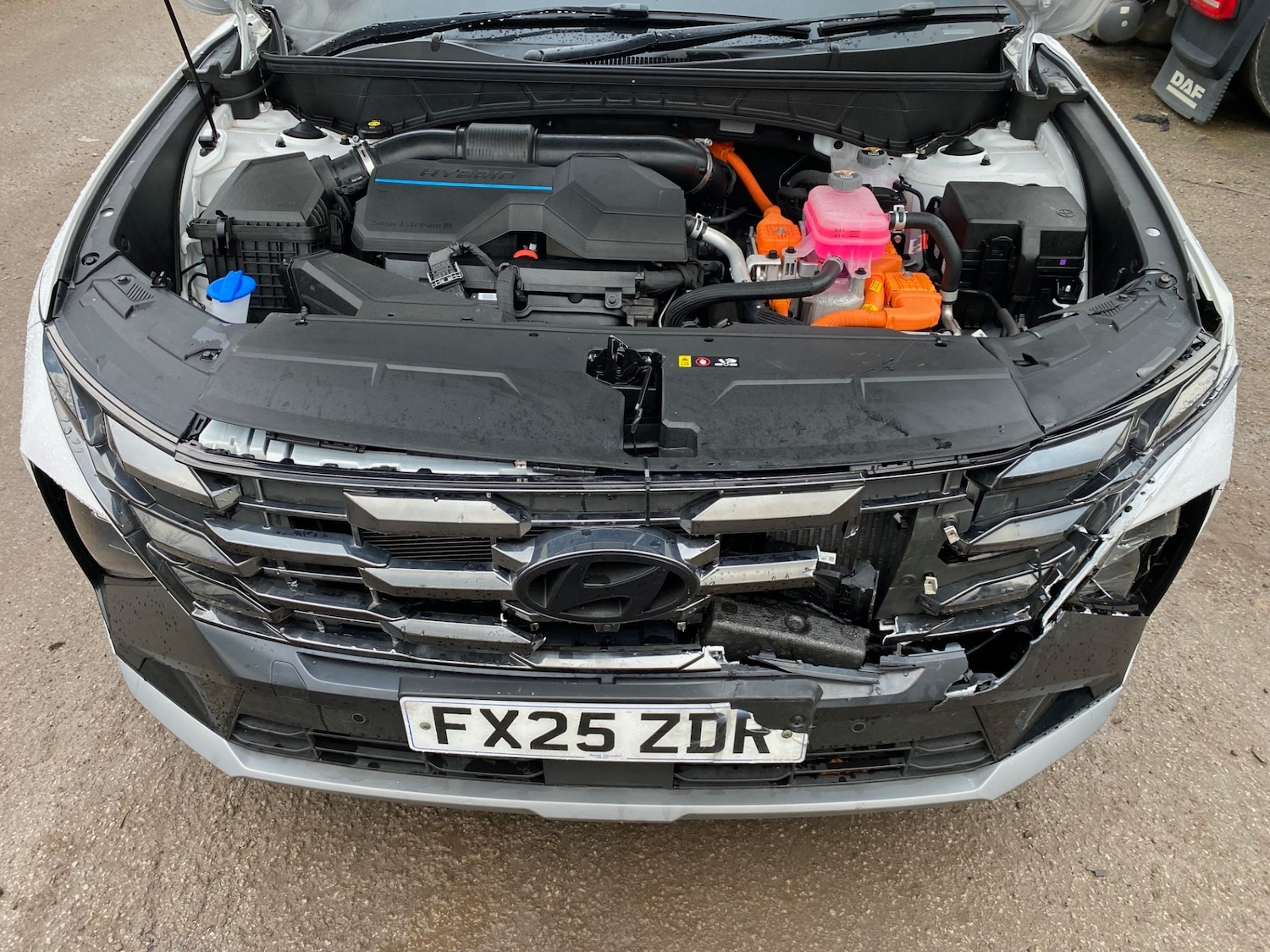 Used Hyundai TUCSON 2025 for sale - 77353978: Photo 9