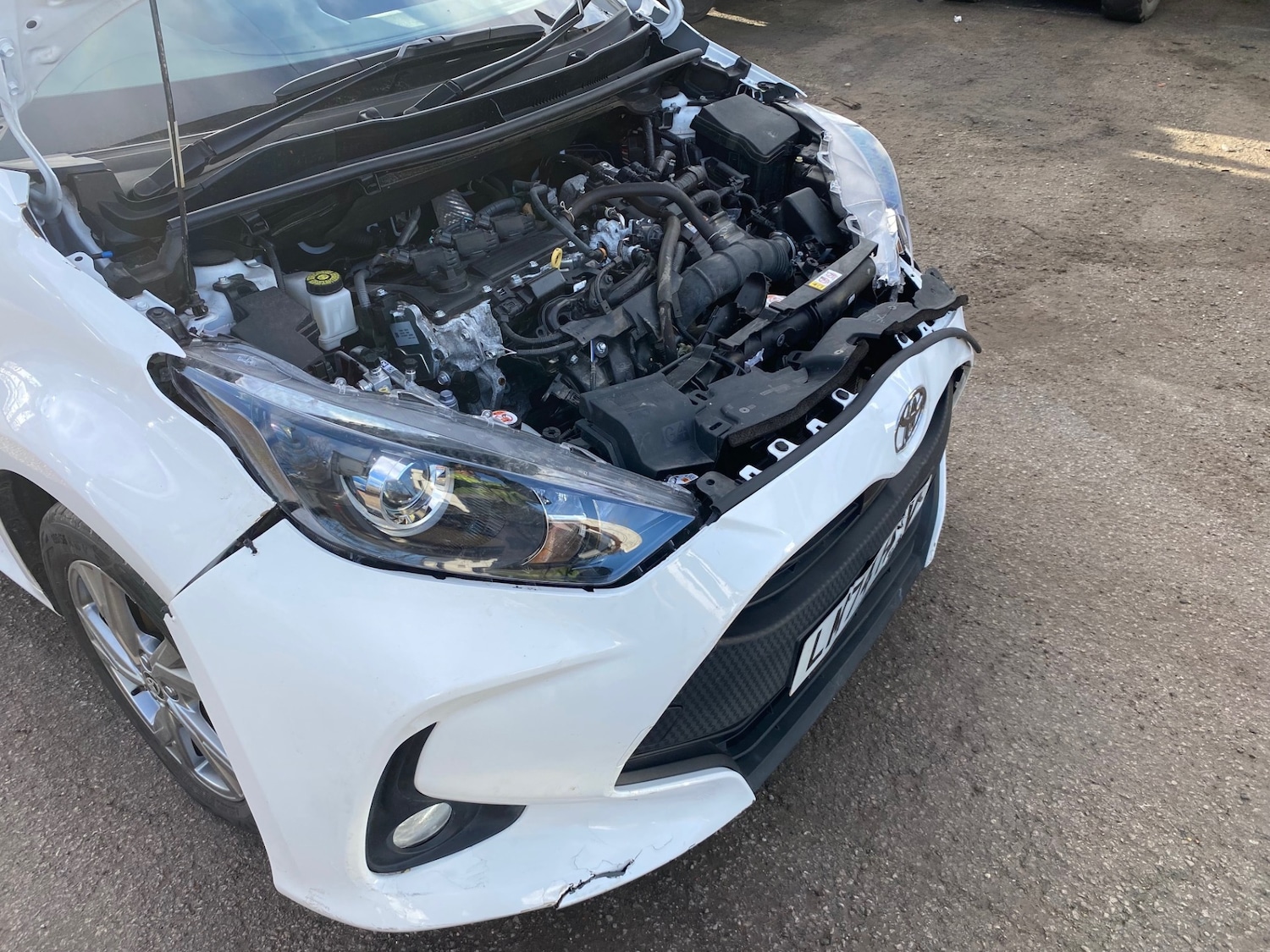 Used Toyota Yaris 2024 for sale - 77311004: Photo 16