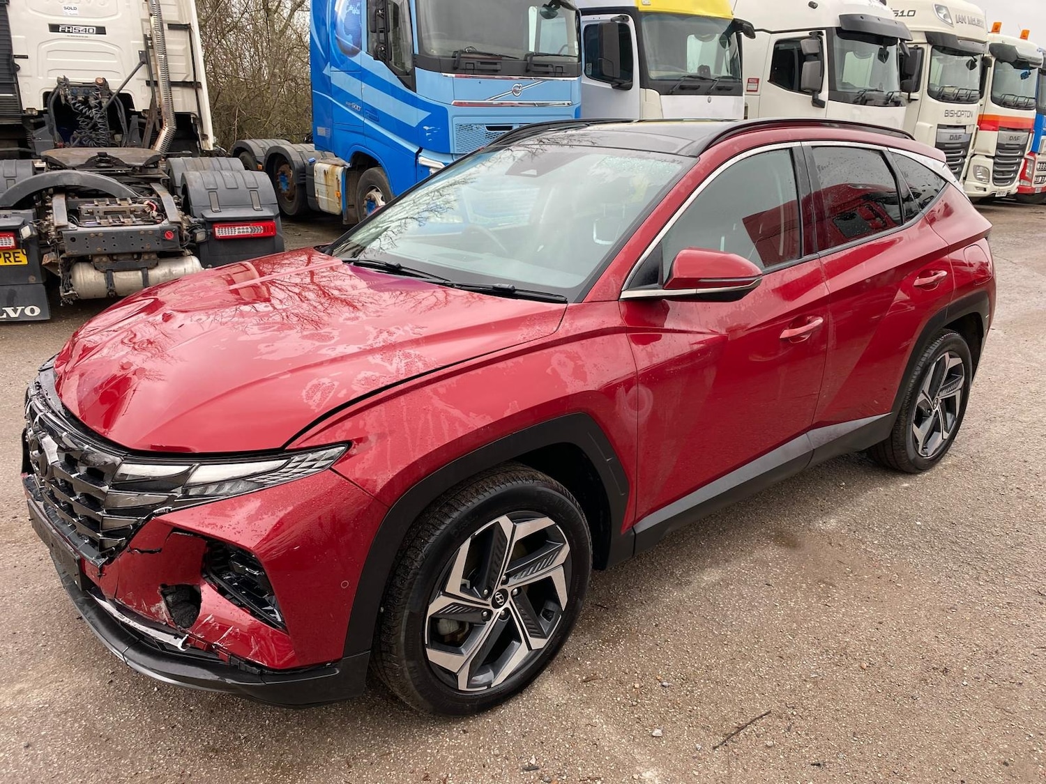 Used Hyundai TUCSON 2023 for sale - 77353882: Photo 3