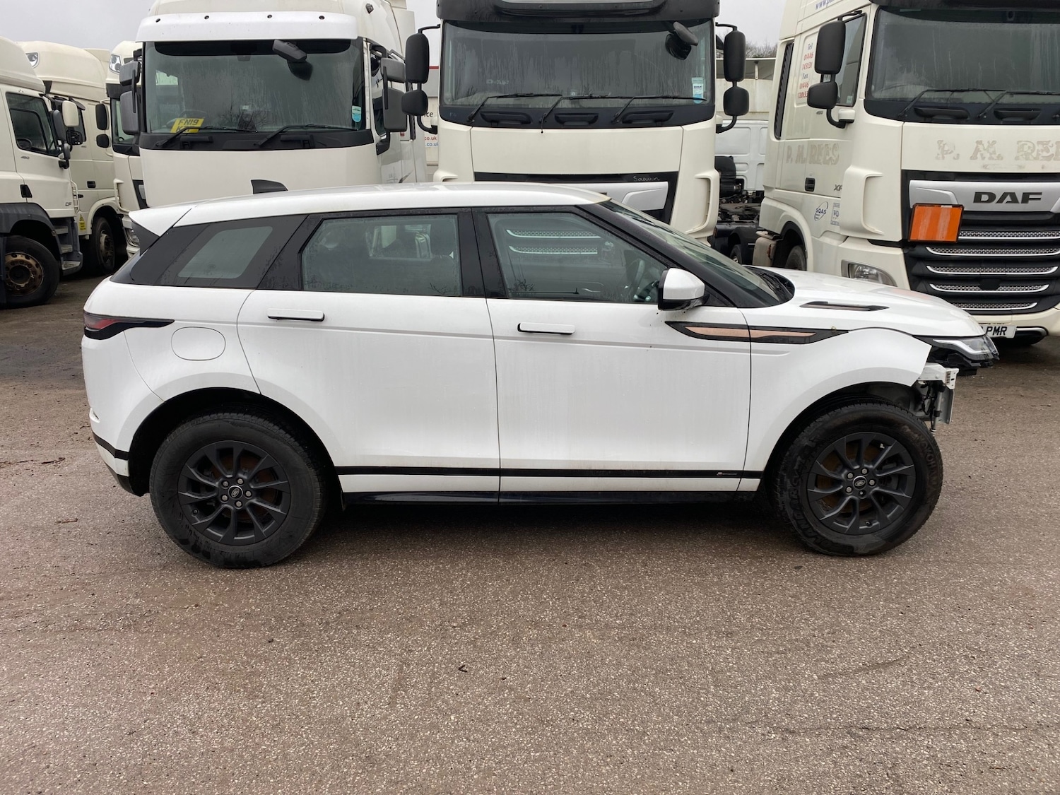 Used Land Rover Range Rover Evoque 2019 for sale - 77220585: Photo 5