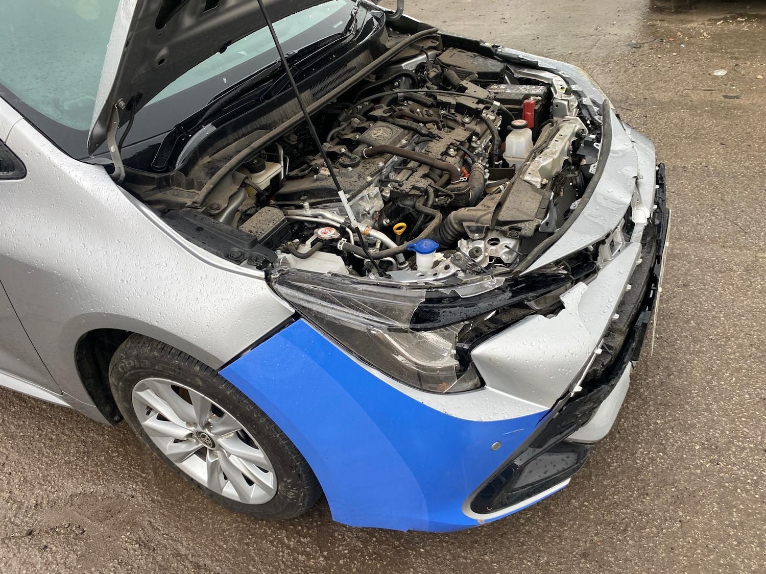 Used Toyota Corolla 2024 for sale - 76777125: Photo 18