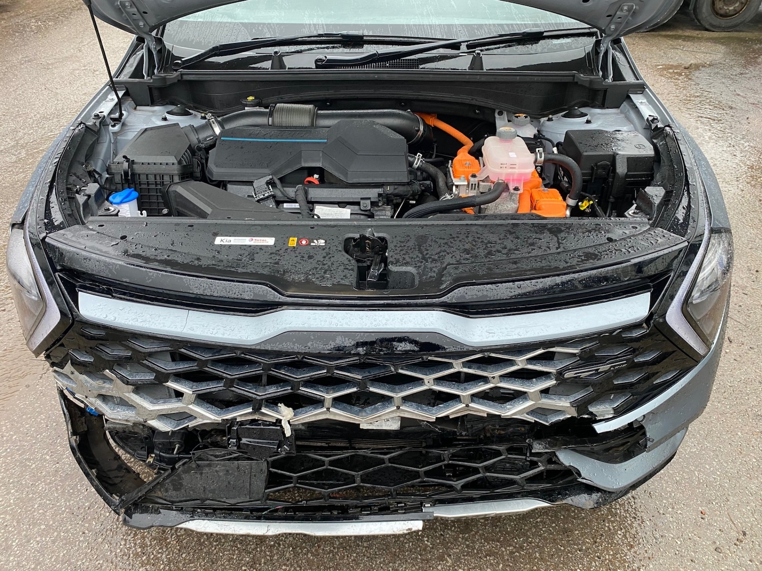 Used Kia Sportage 2022 for sale - 77196659: Photo 6