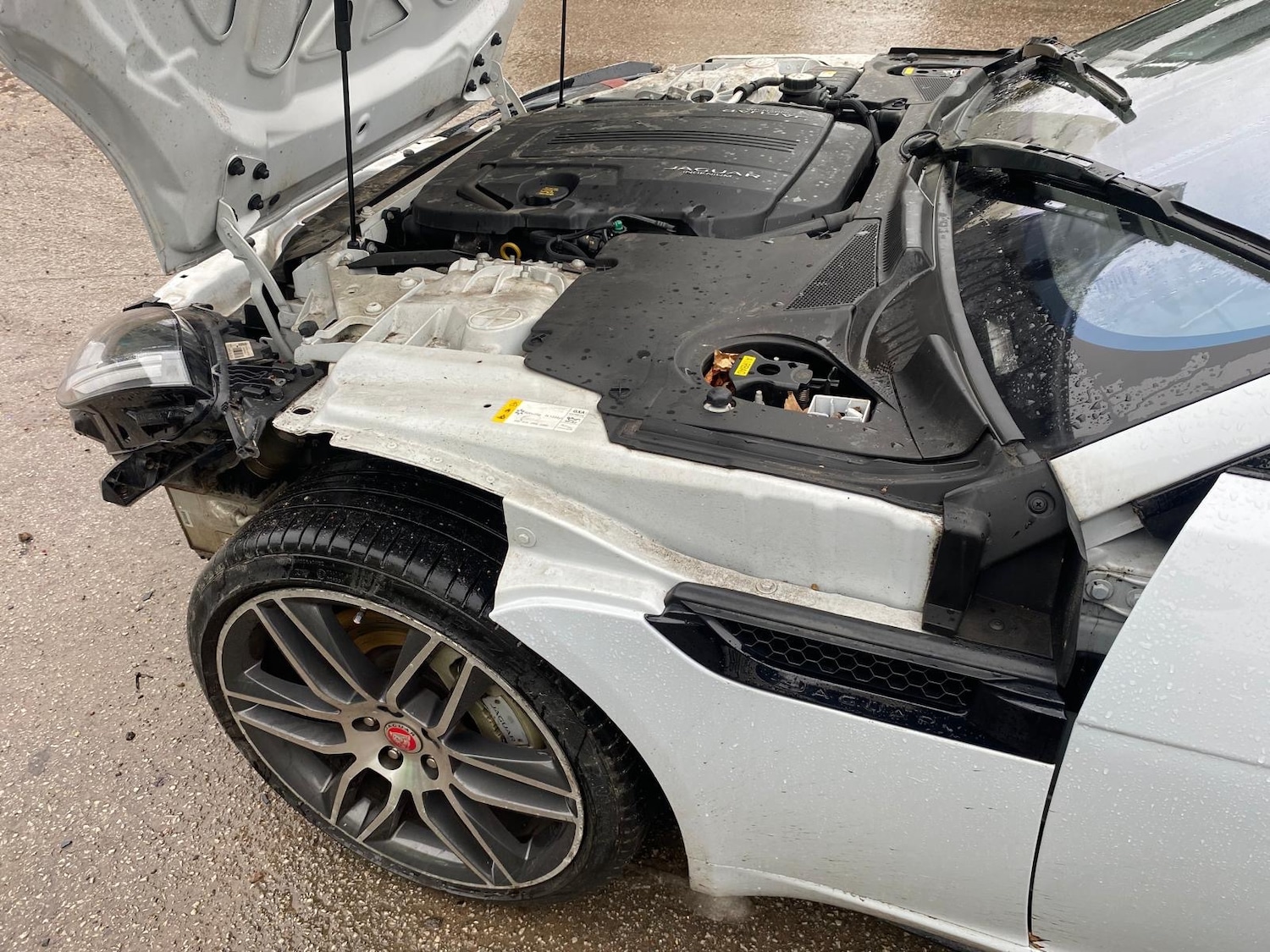 Used Jaguar F-Type 2017 for sale - 77124141: Photo 9