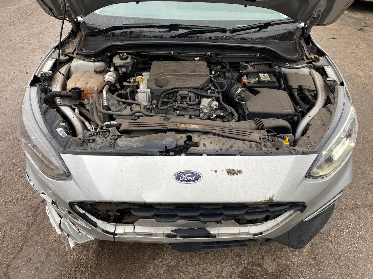 Used Ford Focus 2020 for sale - 77225382: Photo 16