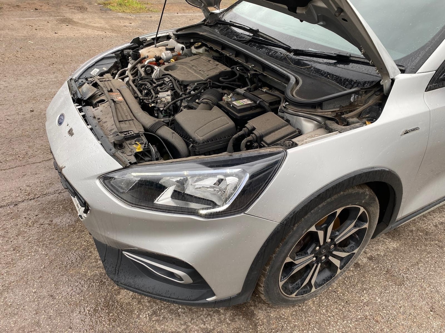 Used Ford Focus 2020 for sale - 77225382: Photo 17