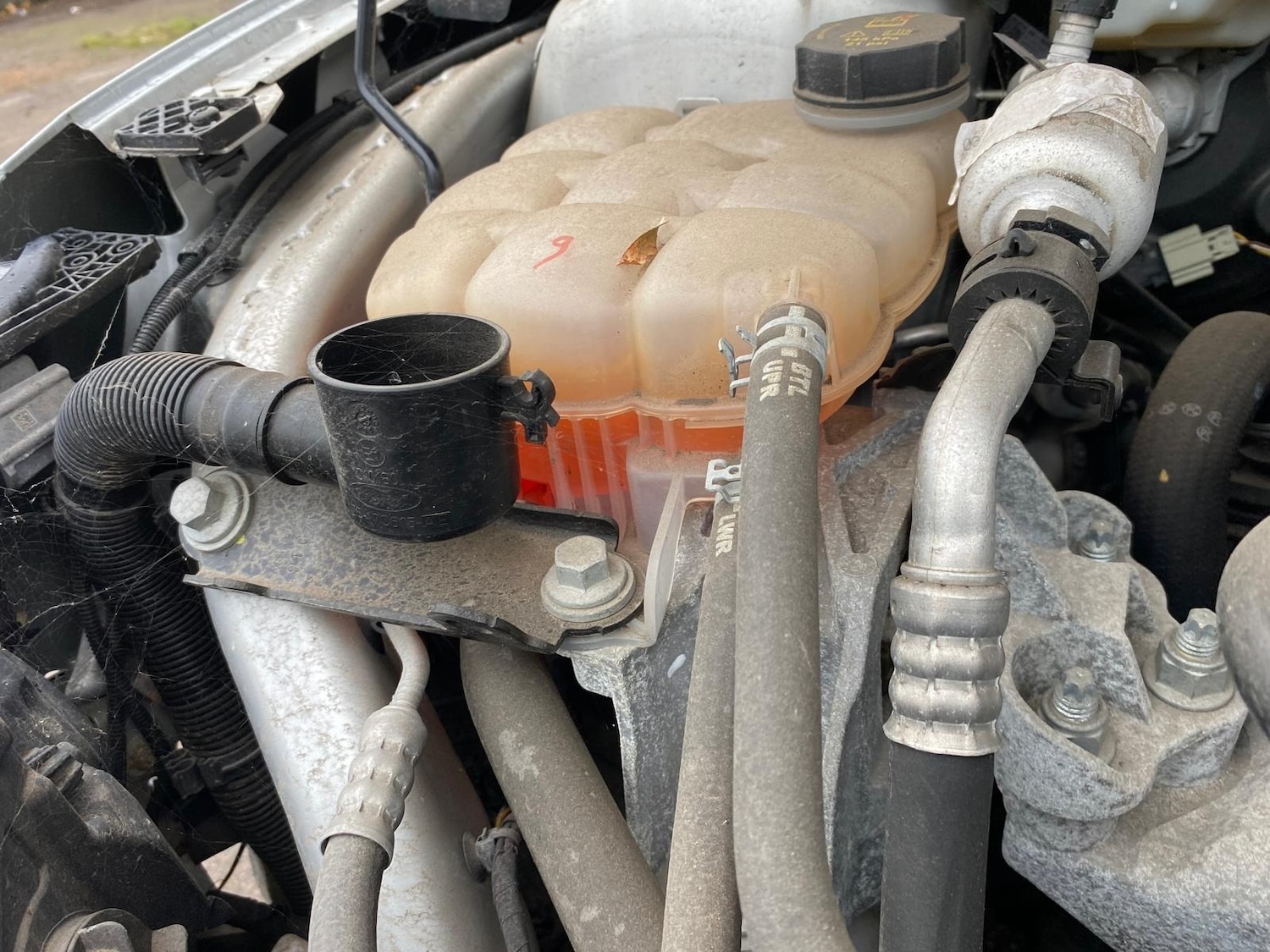 Used Ford Focus 2020 for sale - 77225382: Photo 19