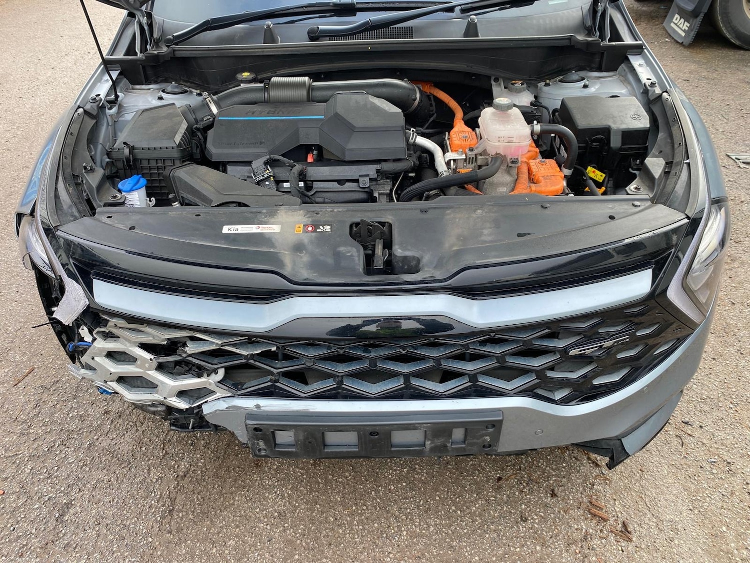 Used Kia Sportage 2024 for sale - 77196618: Photo 17