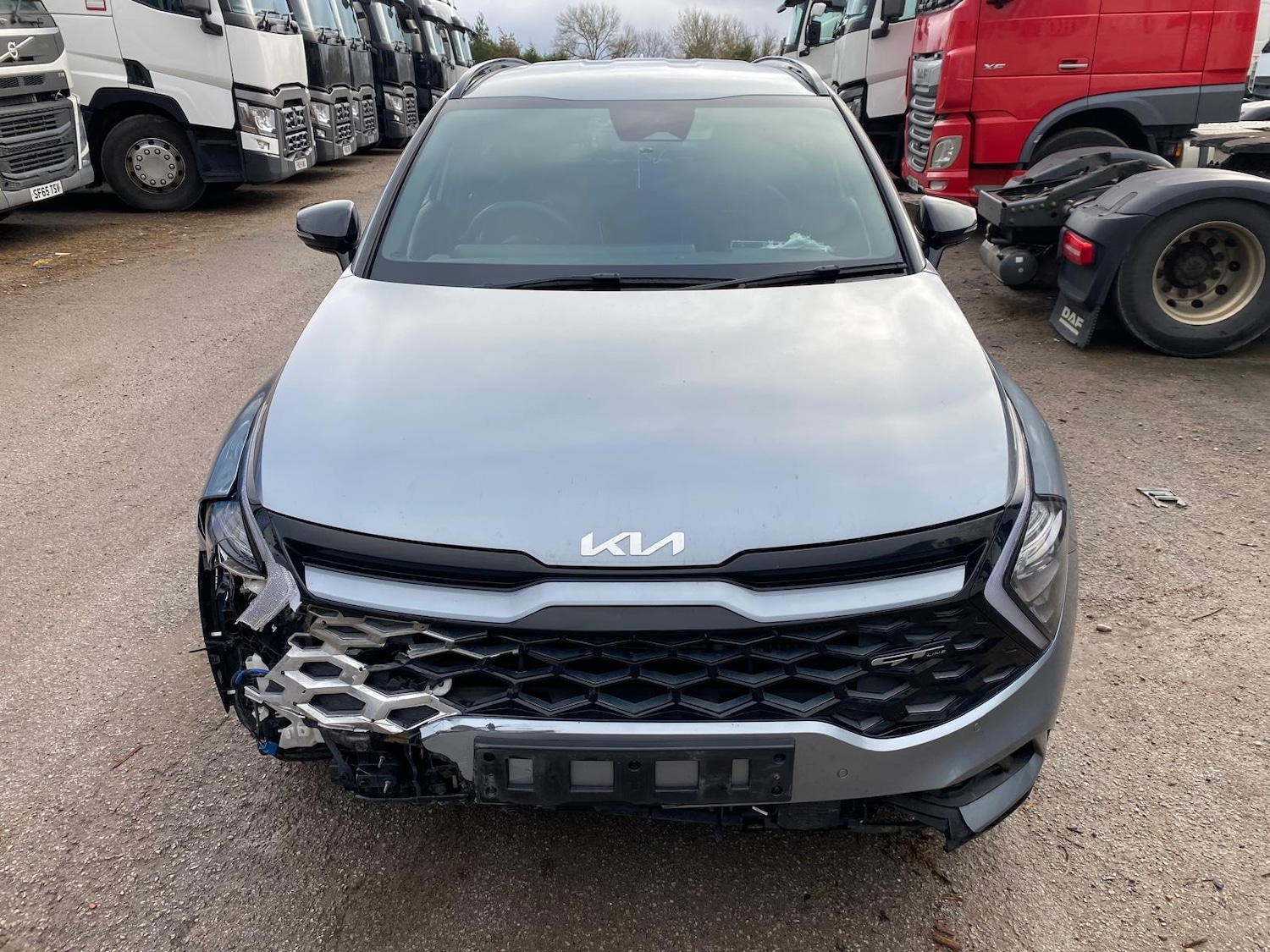 Used Kia Sportage 2024 for sale - 77196618: Photo 6