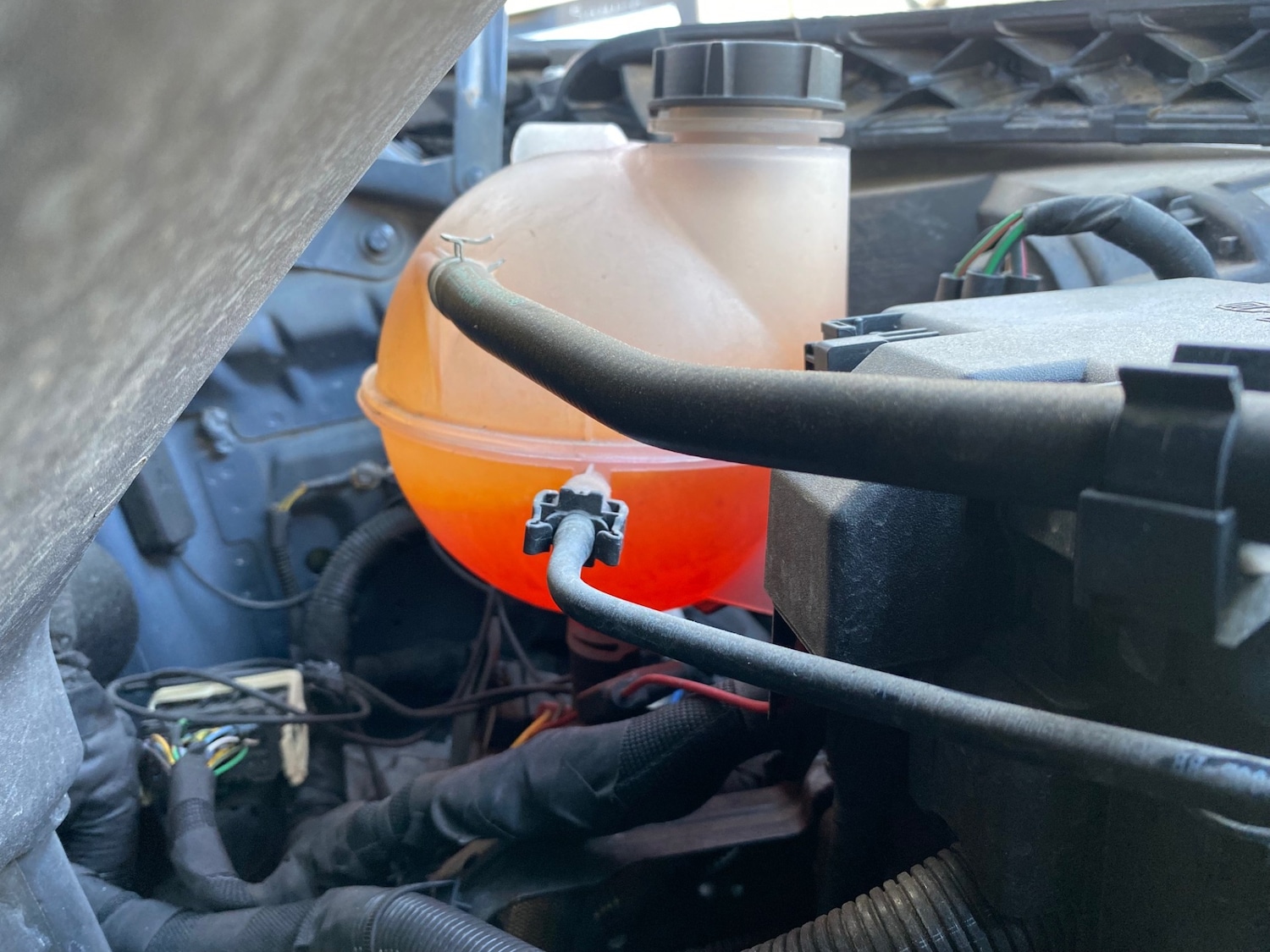 Used Ford Transit 2021 for sale - 77618914: Photo 21