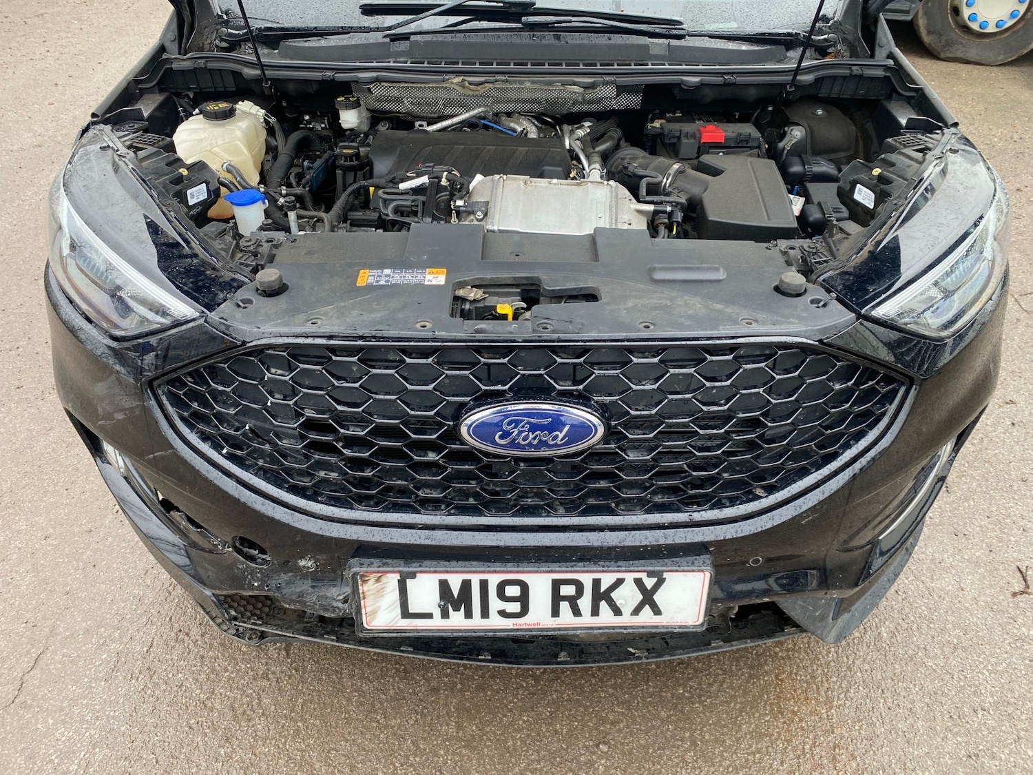 Used Ford Edge 2019 for sale - 76893209: Photo 10
