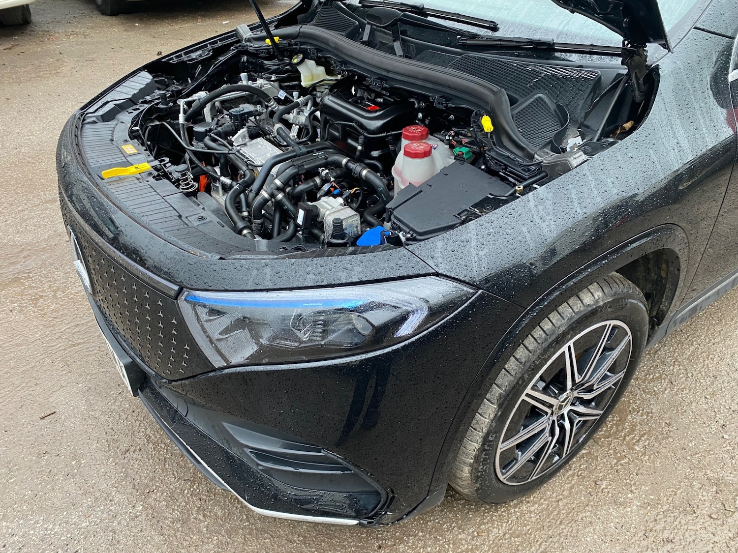 Used Mercedes-Benz EQA 2025 for sale - 77449594: Photo 10