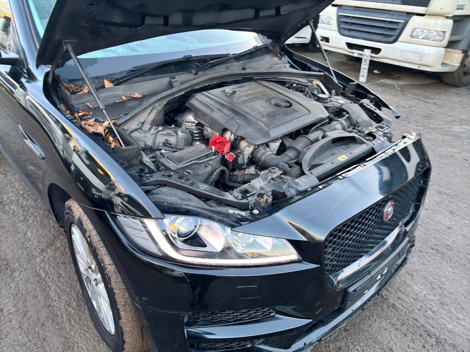 Used Jaguar F-Pace 2016 for sale - 77225487: Photo 10