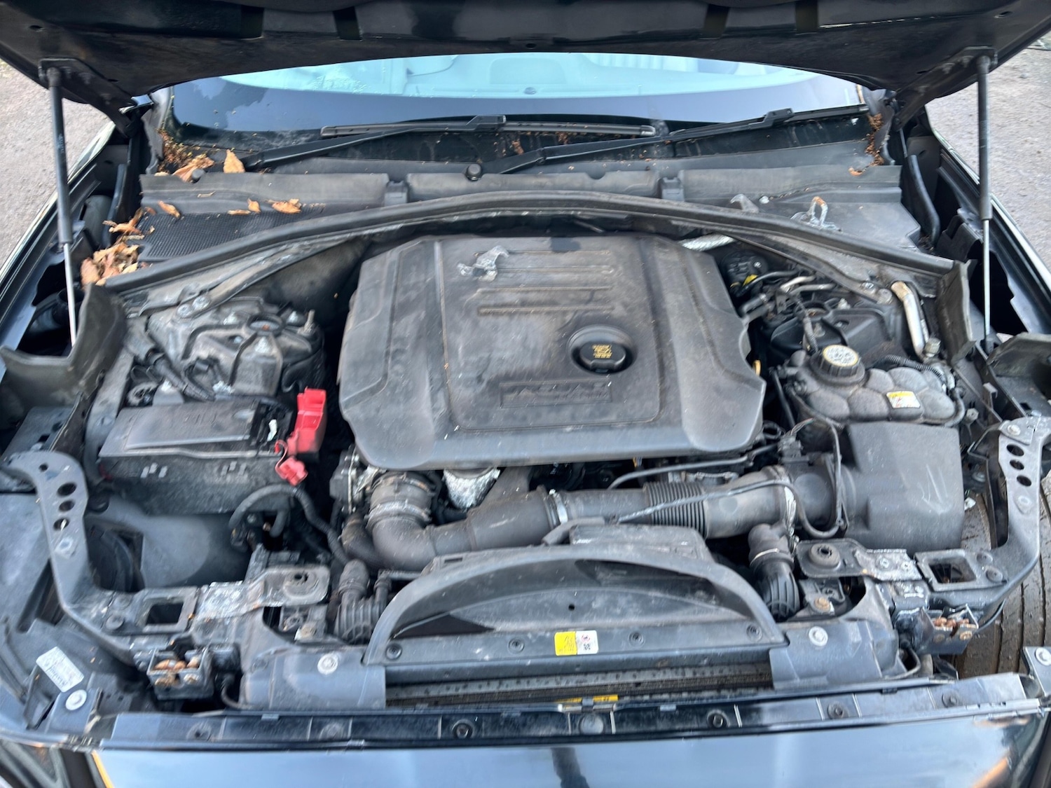 Used Jaguar F-Pace 2016 for sale - 77225487: Photo 11