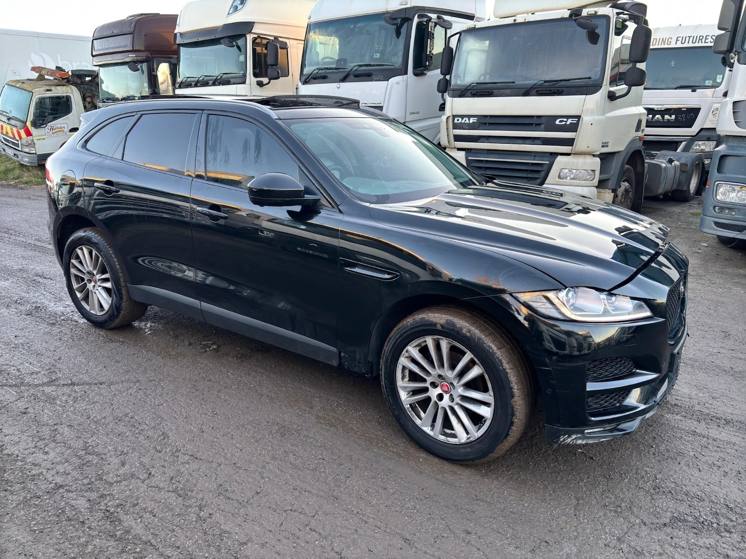 Used Jaguar F-Pace 2016 for sale - 77225487: Photo 15