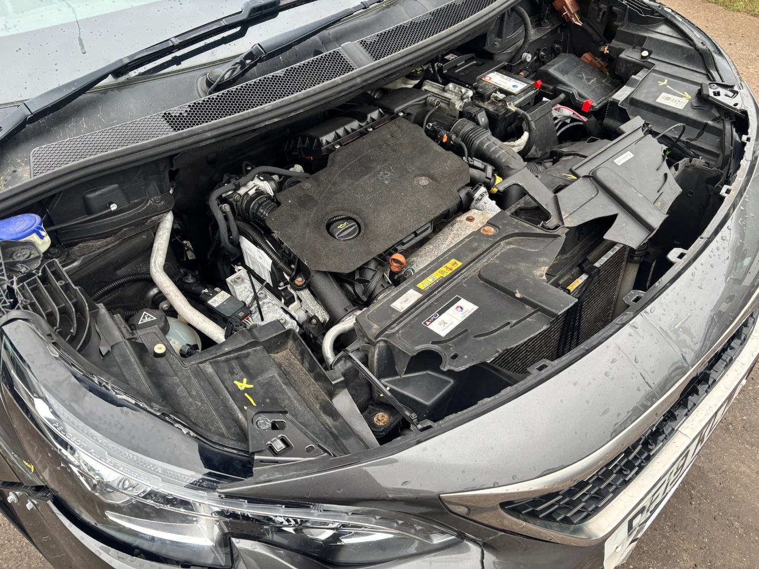 Used Peugeot 5008 2019 for sale - 77385434: Photo 11