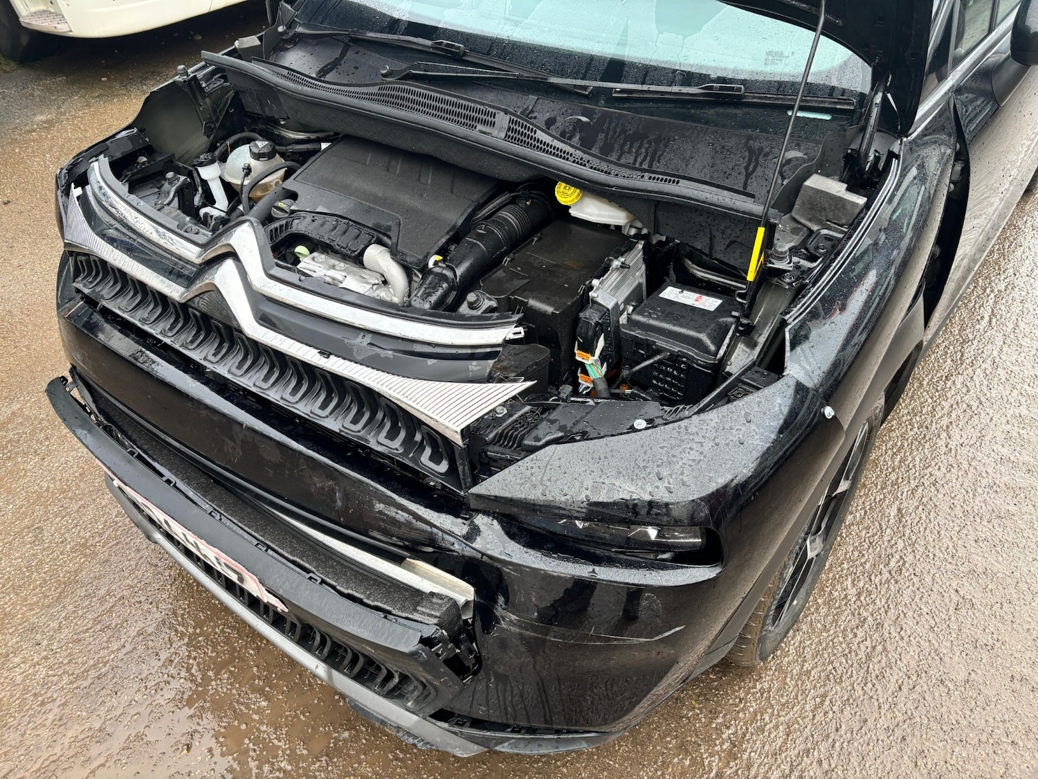 Used Citroen C3 Aircross 2024 for sale - 77385400: Photo 11