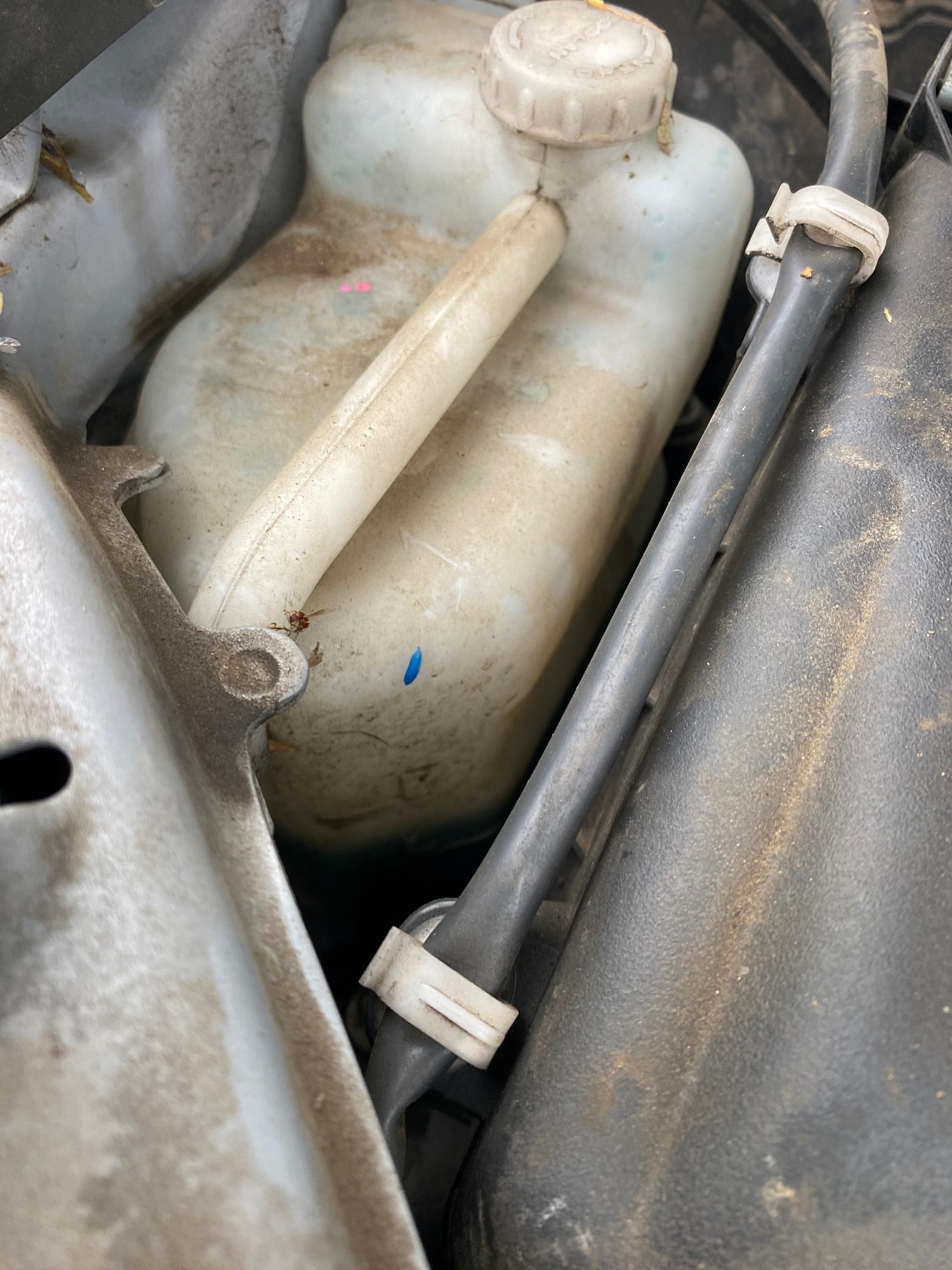 Used Mitsubishi L200 2020 for sale - 76542931: Photo 20