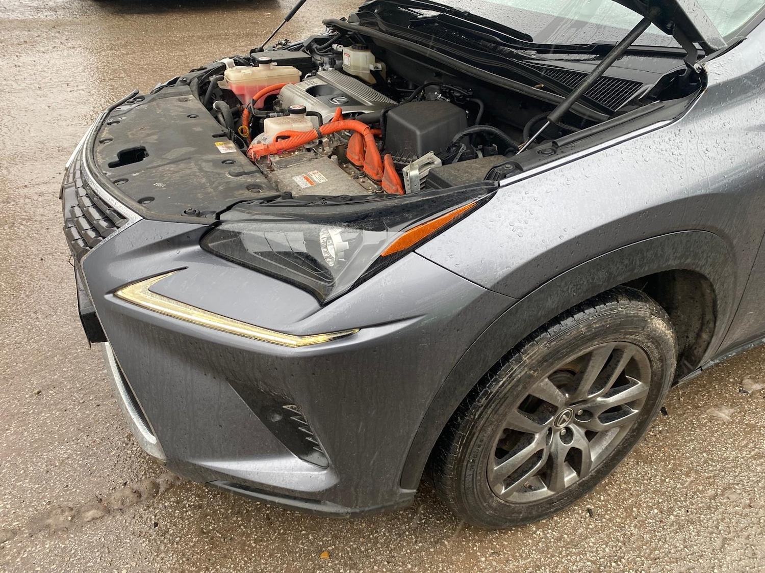 Used Lexus NX 2018 for sale - 77124258: Photo 18