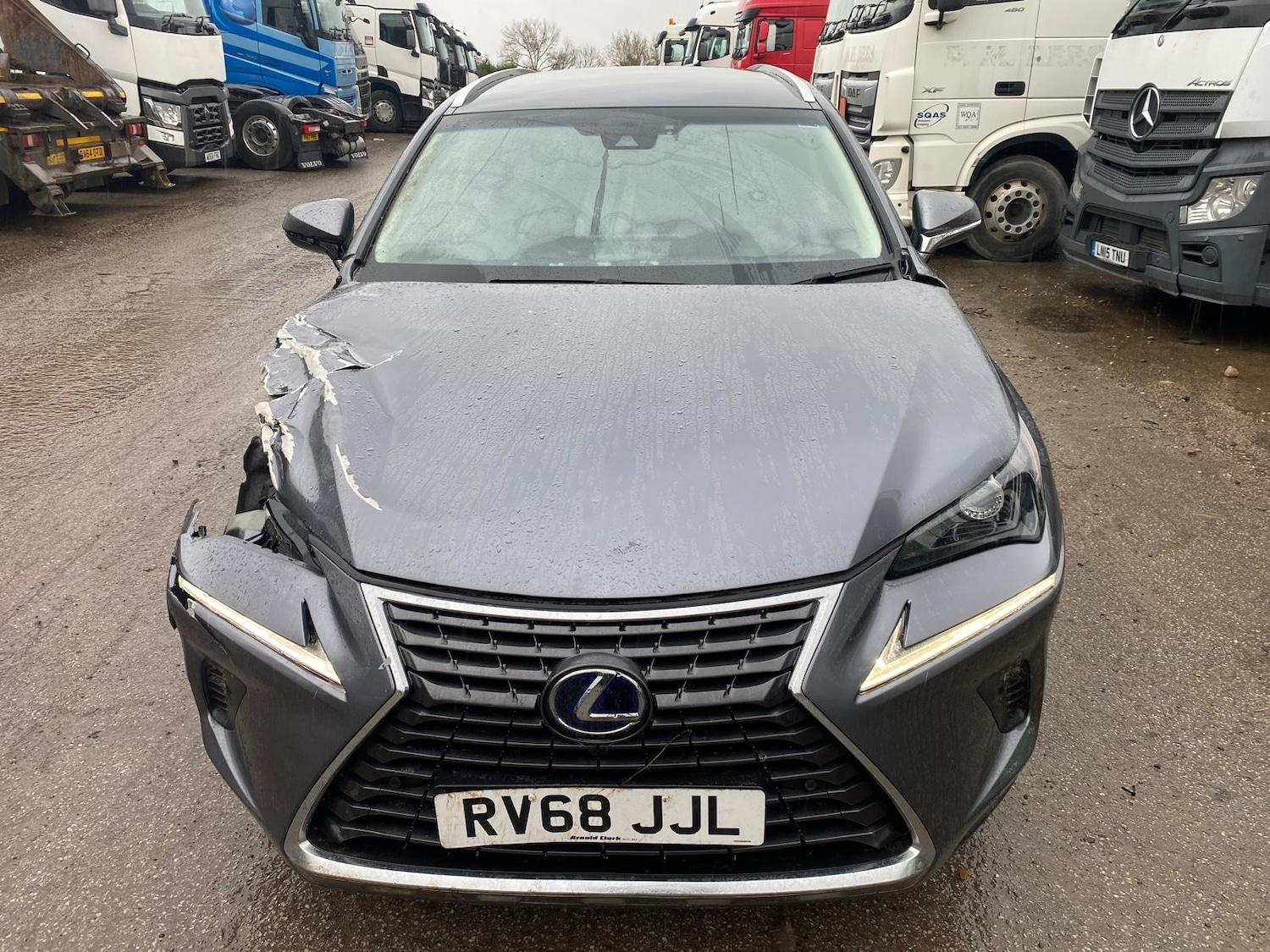 Used Lexus NX 2018 for sale - 77124258: Photo 6