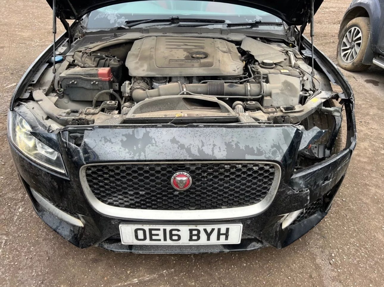 Used Jaguar XF 2016 for sale - 76127521: Photo 12