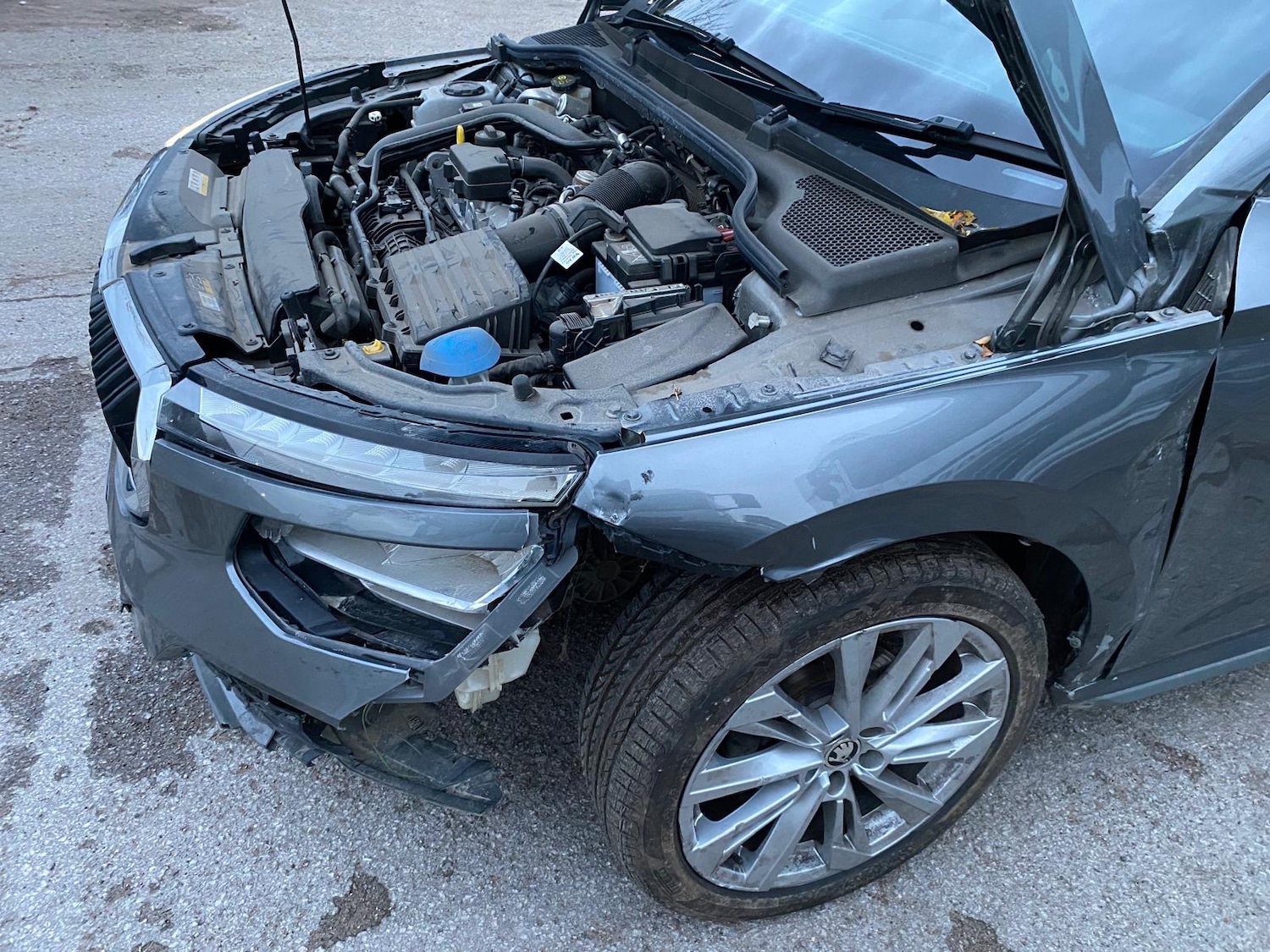 Used Skoda Kamiq 2024 for sale - 76206525: Photo 16