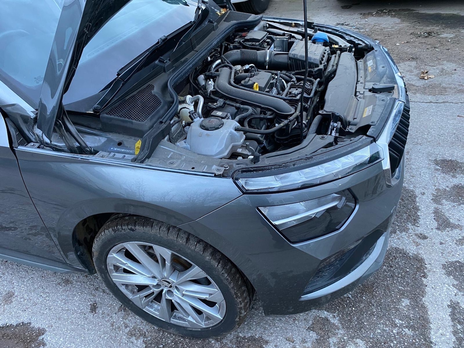 Used Skoda Kamiq 2024 for sale - 76206525: Photo 17