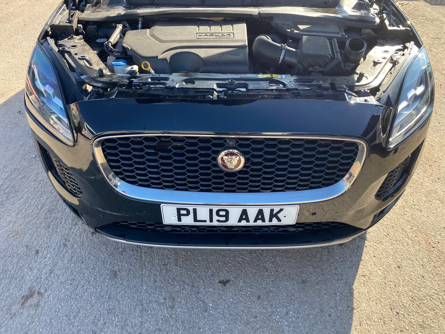 Used Jaguar E-Pace 2019 for sale - 77663751: Photo 9