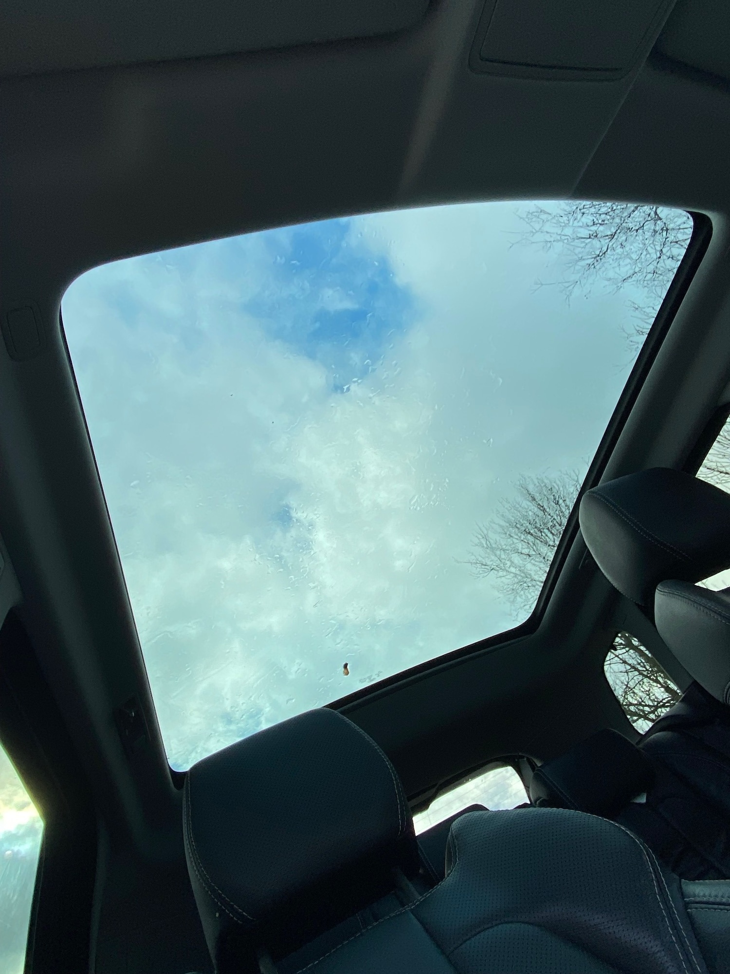 Used Land Rover Range Rover Evoque 2015 for sale - 77701968: Photo 18