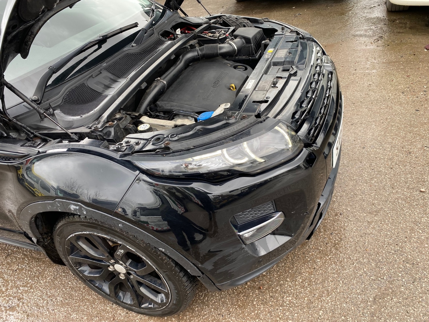 Used Land Rover Range Rover Evoque 2015 for sale - 77701968: Photo 8