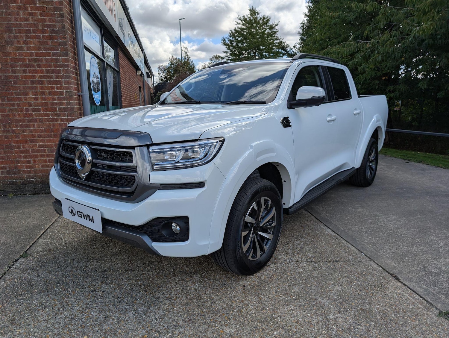 Used GWM POER300 for sale - 76993640: Photo 10