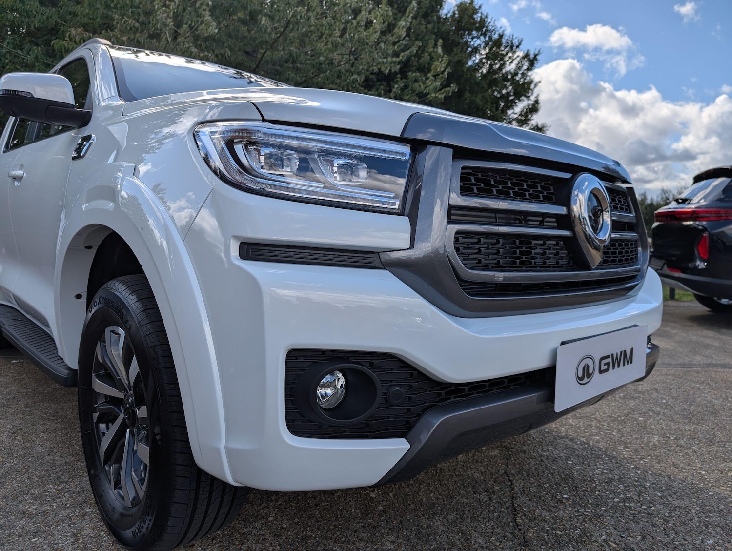 Used GWM POER300 for sale - 76993640: Photo 25