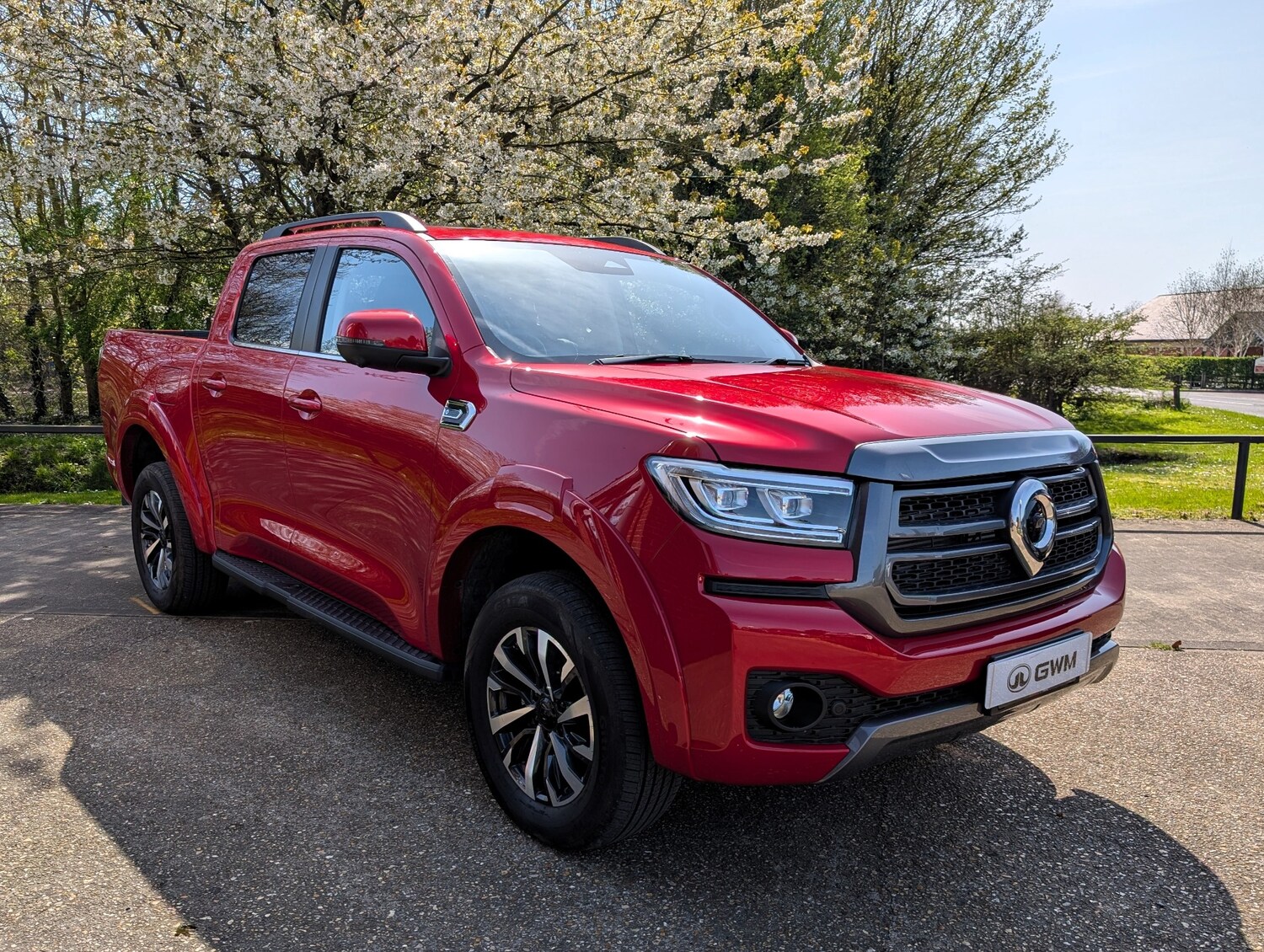 Used GWM POER300 for sale - 78199274: Photo 6