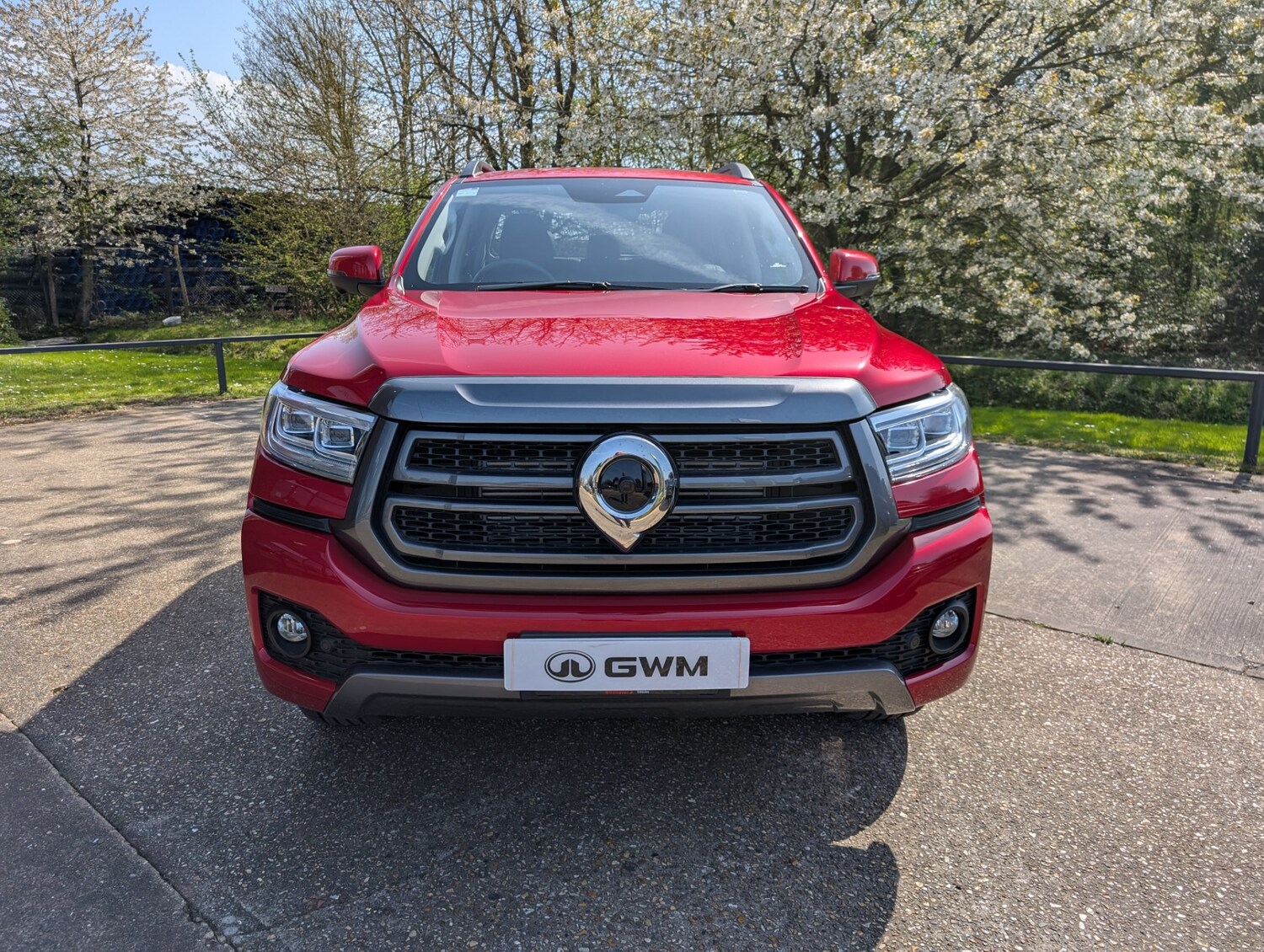 Used GWM POER300 for sale - 78199274: Photo 7