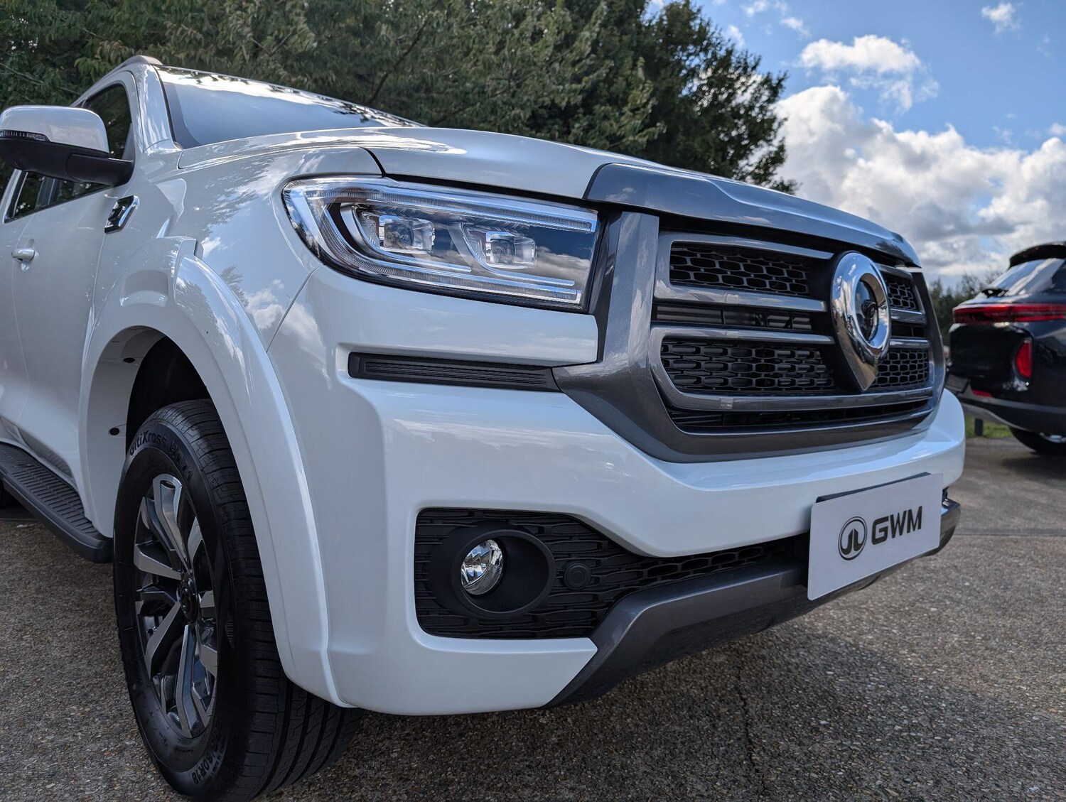 Used GWM POER300 for sale - 76476681: Photo 25