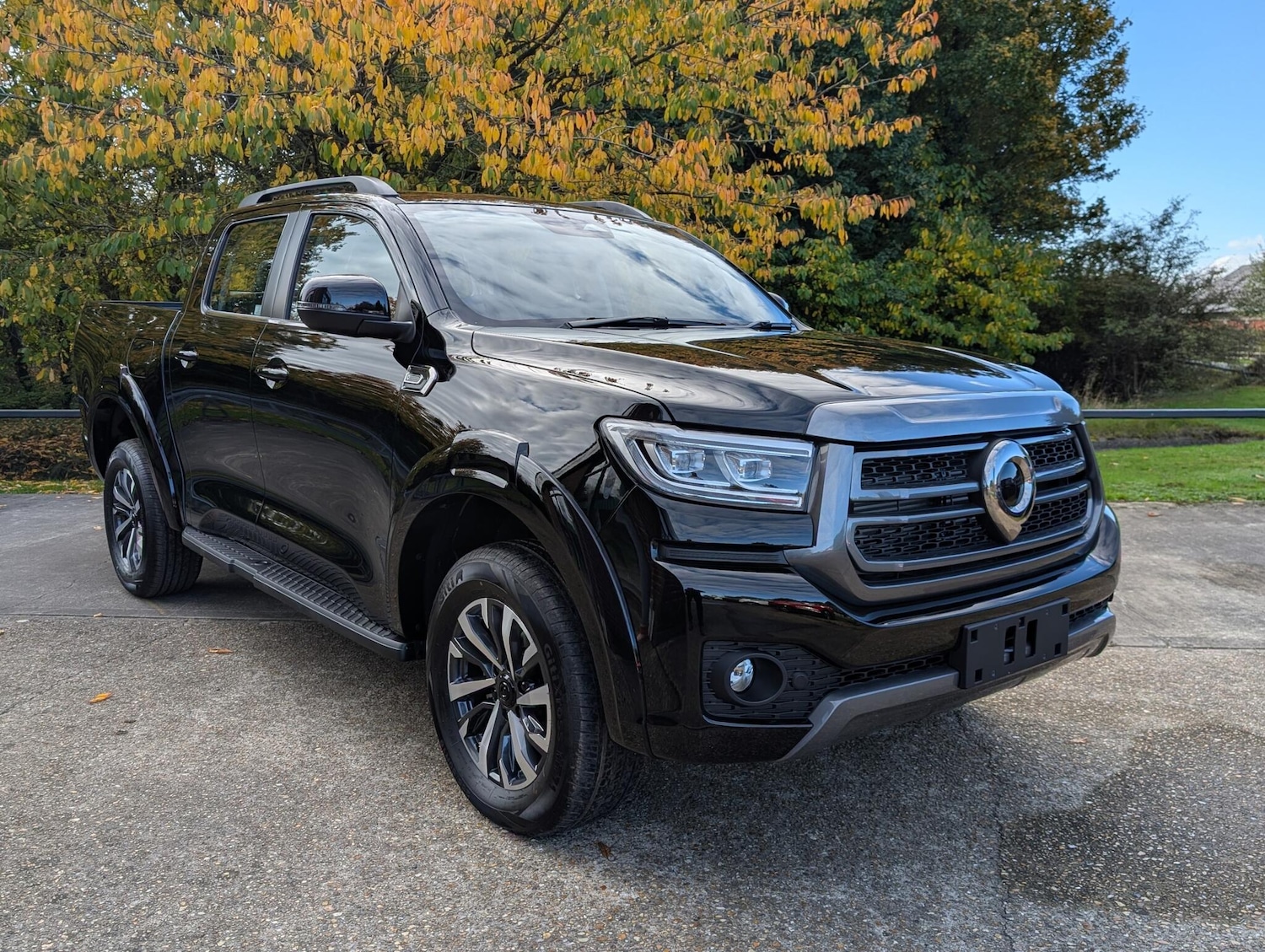 Used GWM POER300 for sale - 76315152: Photo 6