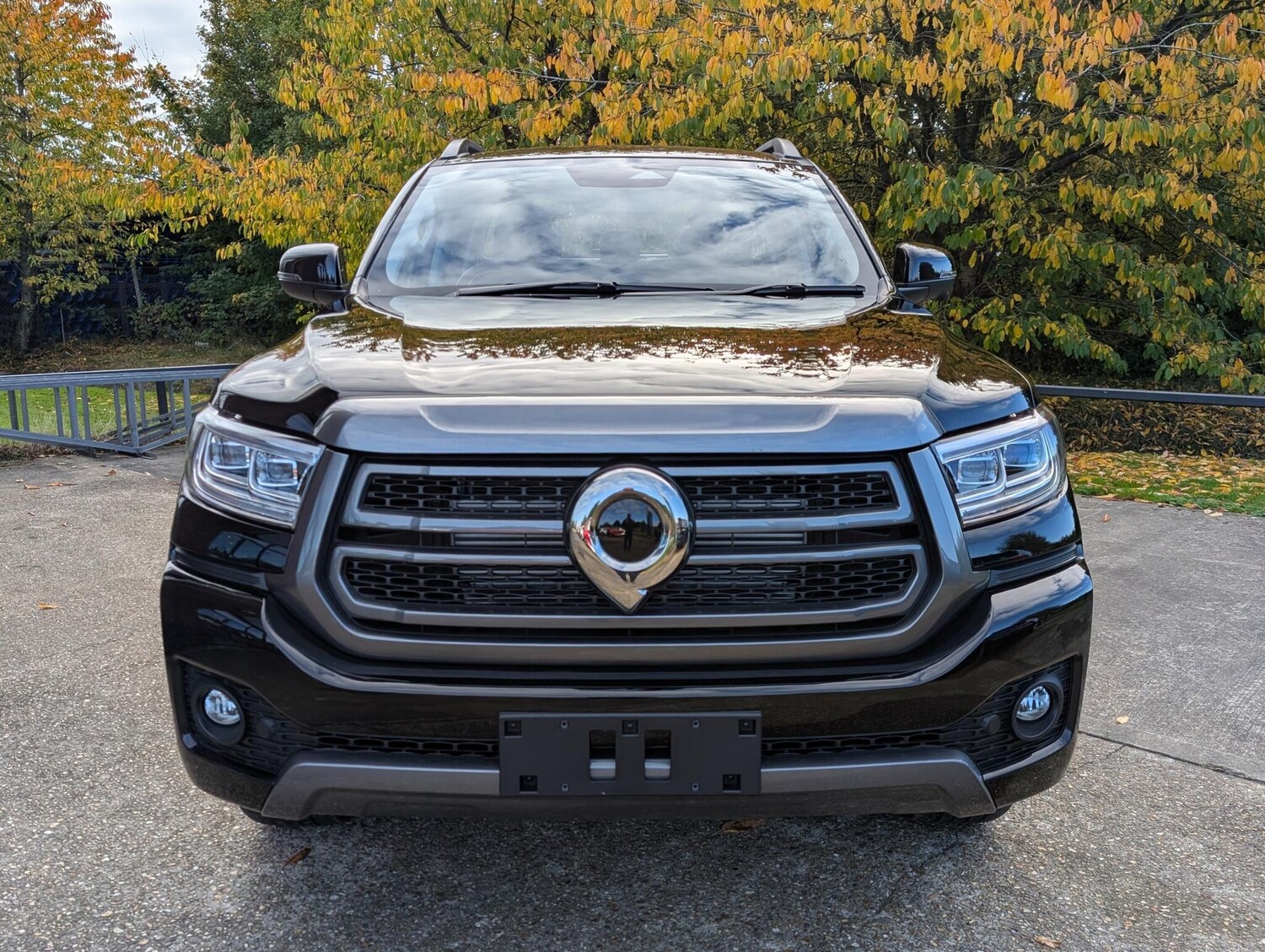 Used GWM POER300 for sale - 76315152: Photo 7